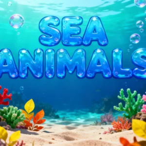 Sea Animals