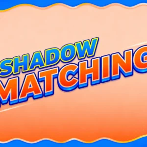 Shadow Matching