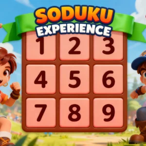Soduku Experience